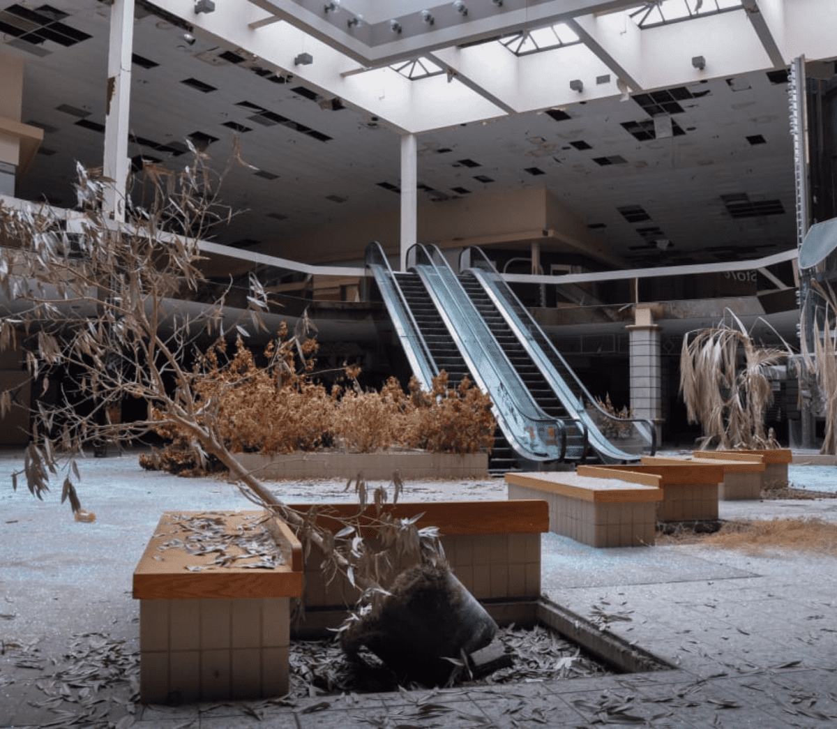Shopper Marketing Retail Return to Shopping Malls